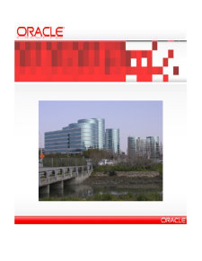 Prezentare Oracle - Pagina 2
