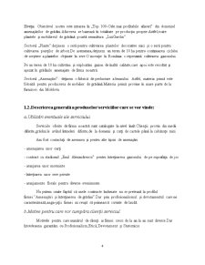 Luxgardin - Studiu de Fezabilitate - Pagina 4