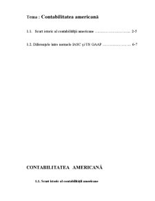 Contabilitatea Americană - Pagina 1