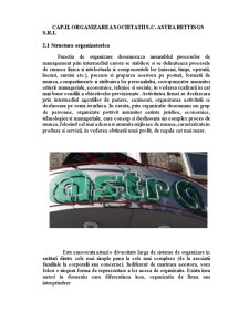 Proiect practică - SC Astra Bettings SRL - Pagina 4
