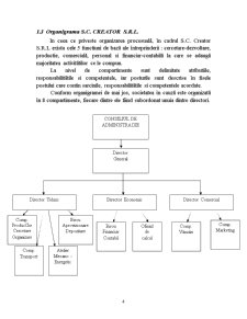 Aspecte Teoretice si Practice Privind Implementarea Contabilitatii Manageriale la Societatea SC Creator SRL Chisinau - Pagina 4