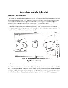 Baze Sportive - Teren Baschet - Pagina 3