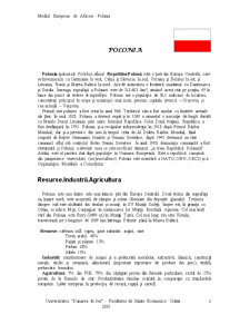Mediul European de Afaceri - Polonia - Pagina 2