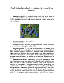 Tehnologia obținerii extractelor de porumbe - Pagina 3