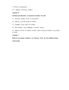 Managementul Activității de Creditare pe Exemplul Raiffeisen Bank - Pagina 3