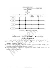 Măsuri de Perfecționare a Structurii Organizatorice - Pagina 5