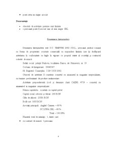 Analiza Costurilor - Timpuri 2002 SRL - Pagina 4