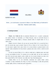 Raport de țară Olanda - Pagina 2
