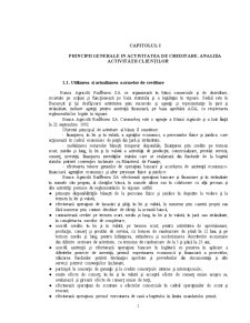 Creditarea persoanelor juridice - Banca XYZ SA Caransebeș - Pagina 2