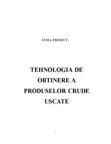 Tehnologia de obținere a produselor crude uscate - Pagina 1