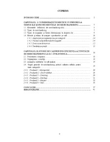 Studiu privind eficiența activității de merchandiser la SC Unilever România - Pagina 2