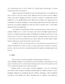 Monografia Orașului Timișoara - Pagina 3