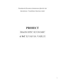 Diagnostic Economic al SC Ilvas SA Vaslui - Pagina 1