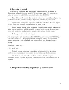 Diagnostic Economic al SC Ilvas SA Vaslui - Pagina 3