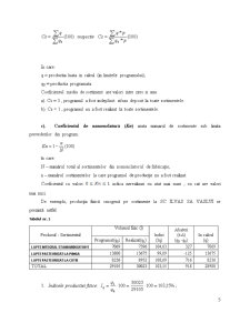 Diagnostic Economic al SC Ilvas SA Vaslui - Pagina 5