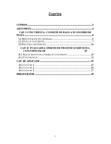 Evaluarea Ofertei de Produse și Servicii a Concurenților - Pagina 3