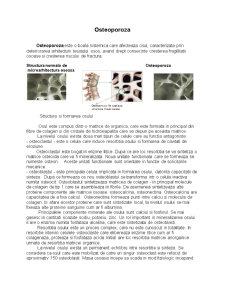 Osteoporoză - Pagina 1