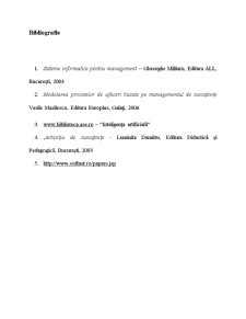 Sistem de Management al Documentelor - Pagina 2