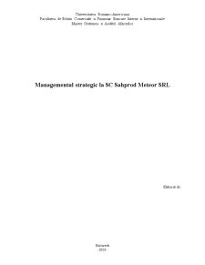 Managementul Strategic la SC Sahprod Meteor SRL - Pagina 1