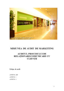 Raport de Audit de Marketing - Lorenza Beauty Spa - Pagina 2