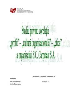 Studiu privind corelația profit - cultură organizațională - etică a organizației SC Carpatair SA - Pagina 1