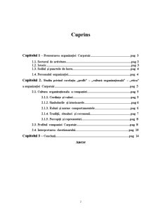 Studiu privind corelația profit - cultură organizațională - etică a organizației SC Carpatair SA - Pagina 2