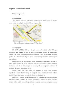 Analiza sistemului logistic la compania Artera - Pagina 4