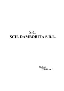 Studiu de Fezabilitate SC SCIL Dambobita SRL - Pagina 1