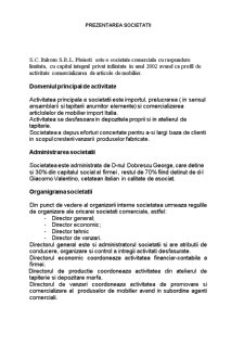 Raport de audit SC Italrom SRL Ploiești - Pagina 1