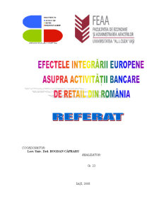 Efectele integrării asupra activității de retail din România - Pagina 1