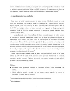 Analiza Sistemica a unei Institutii Publice de la Nivel Central - Pagina 4