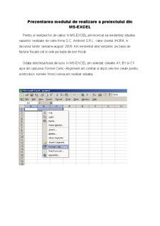 Proiect Excel - Pagina 2