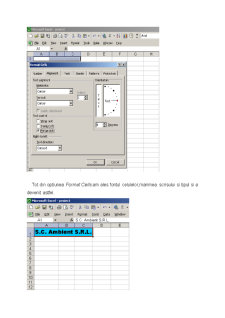 Proiect Excel - Pagina 3