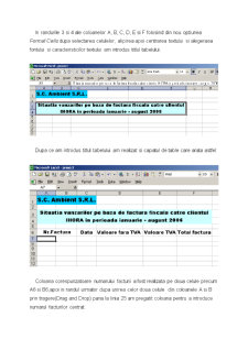 Proiect Excel - Pagina 4