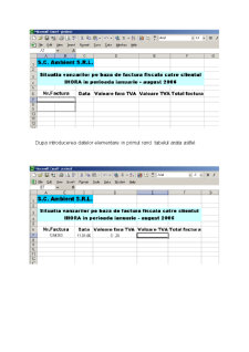 Proiect Excel - Pagina 5