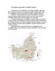 Planul de dezvoltare rurală și ocuparea forței de muncă în Comuna Feleacu, județul Cluj - Pagina 2