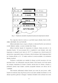 Schema și Fluxul Tehnologic de Afumare a Cărnii - Pagina 4