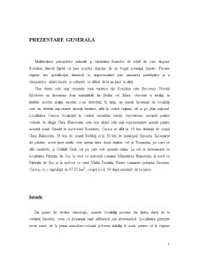 Potențialul Turistic al Localității Cacica - Pagina 1