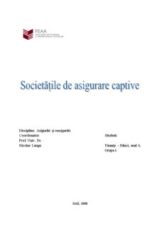 Societățile de asigurare captive - Pagina 1