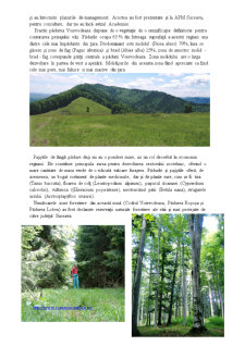 Agroturismul din Zona Văii Sucevița - Pagina 5