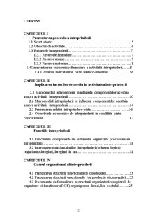 Întreprinderea în mediul competitiv - studiu de caz - SC Ulvex SA Buzău - Pagina 2