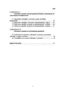 Întreprinderea în mediul competitiv - studiu de caz - SC Ulvex SA Buzău - Pagina 3
