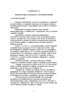 Întreprinderea în mediul competitiv - studiu de caz - SC Ulvex SA Buzău - Pagina 5