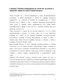 Asigurarea protecției juridice a drepturilor omului la nivelul Uniunii Europene - Pagina 3