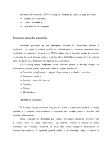 Proiect de practică - Eurochoacing Performanta SRL - Pagina 5