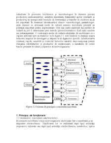 Biosenzori Microbieni - Pagina 3