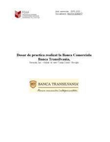 Proiect practică Banca Transilvania - Pagina 1
