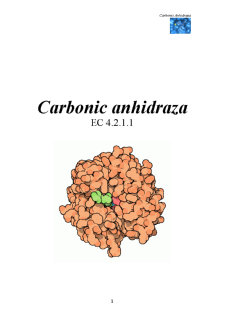 Enzimă - carbonic anhidraza - Pagina 1