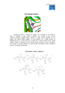 Enzimă - carbonic anhidraza - Pagina 5