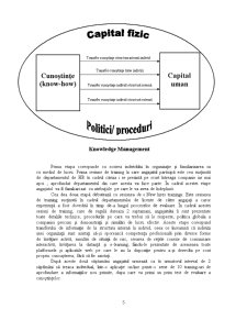Knowledge Management în Cadrul Oracle România - Pagina 5
